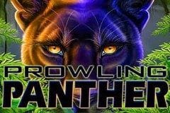 Prowling Panther thumbnail